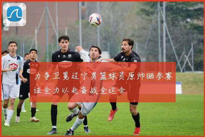力争卫冕辽宁男篮球员原帅晒参赛证全力以赴备战全运会